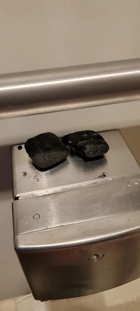 Someone left their half eaten charcoal in a bathroom stall