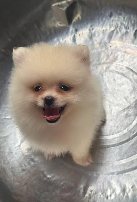 She’s just so happy baby, isn’t she a cutie?🥹