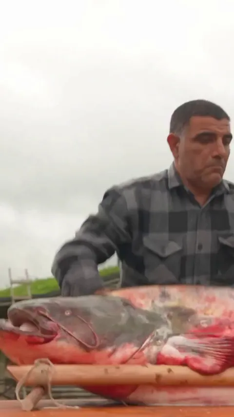 Preparing a Massive Catfish Baked Inside a Wooden Log