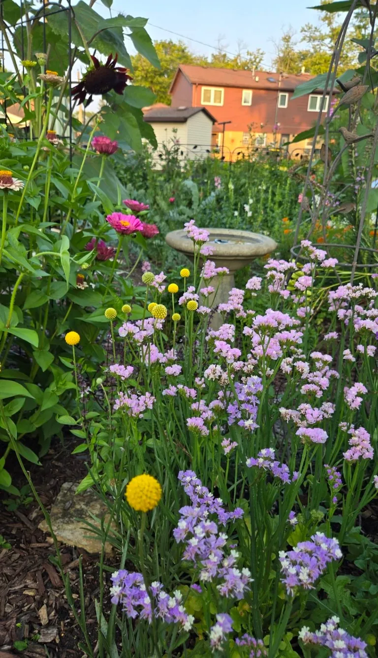Transformed a small space behind my garage into my dream garden🌻2023 vs. 2024 