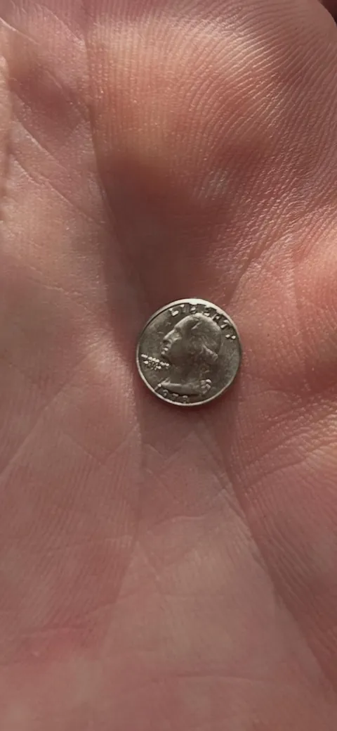 I’m not a giant! What is this?