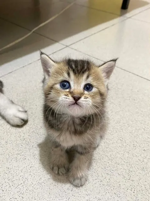 I'm so lucky to get welcome every time I get home from work by these cuties