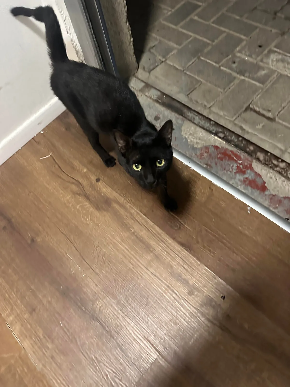 I think I really fucked up :(