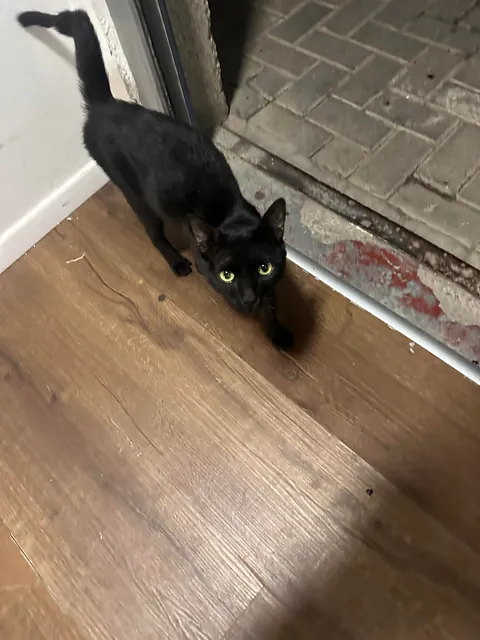 I think I really fucked up :(