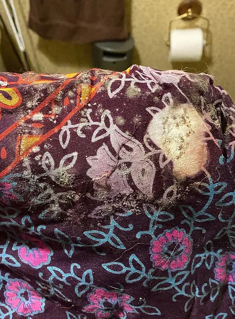 “We have no idea why you are sick.” -My parents. WTF