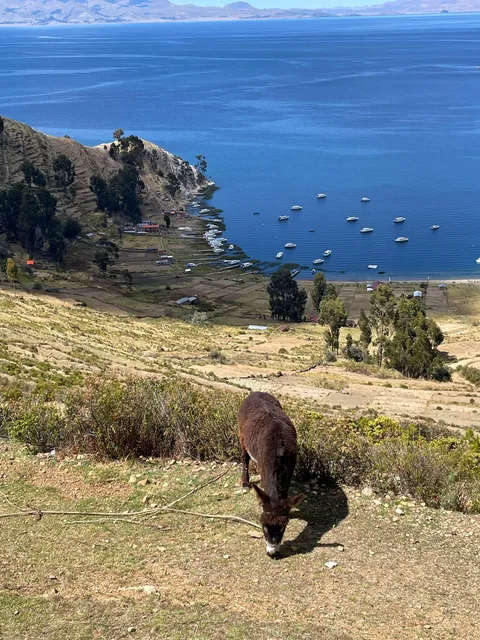 Isla Del Sol, Bolivia is incredible