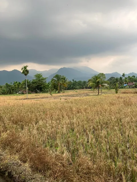 My favourite pics from 3 weeks backpacking through Indonesia last summer