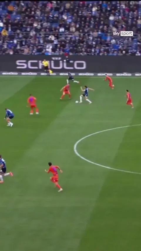 Gantenbein (Schalke) great goal line clearance against Bielefeld