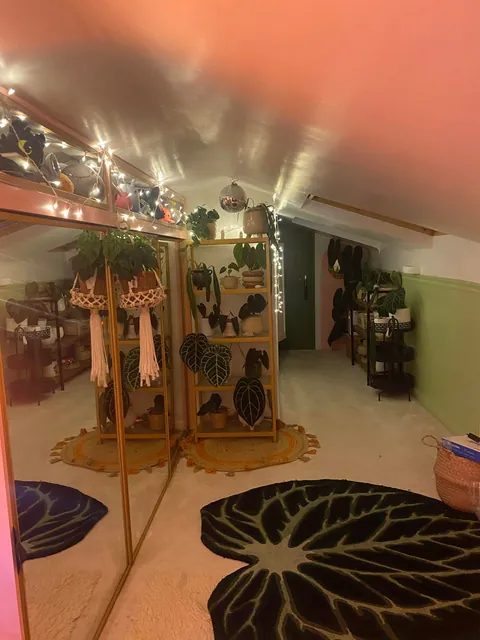 Someone asked for what it looks like on a night