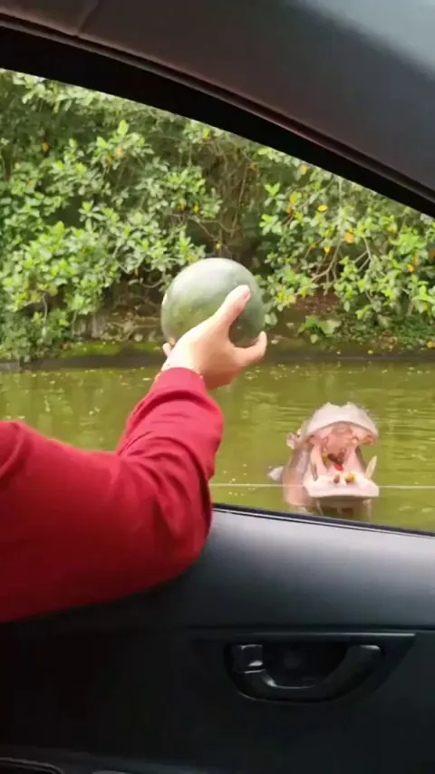 I beg your finest pardon