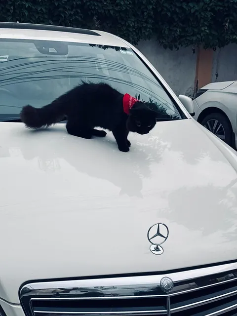 First Time Posting Him