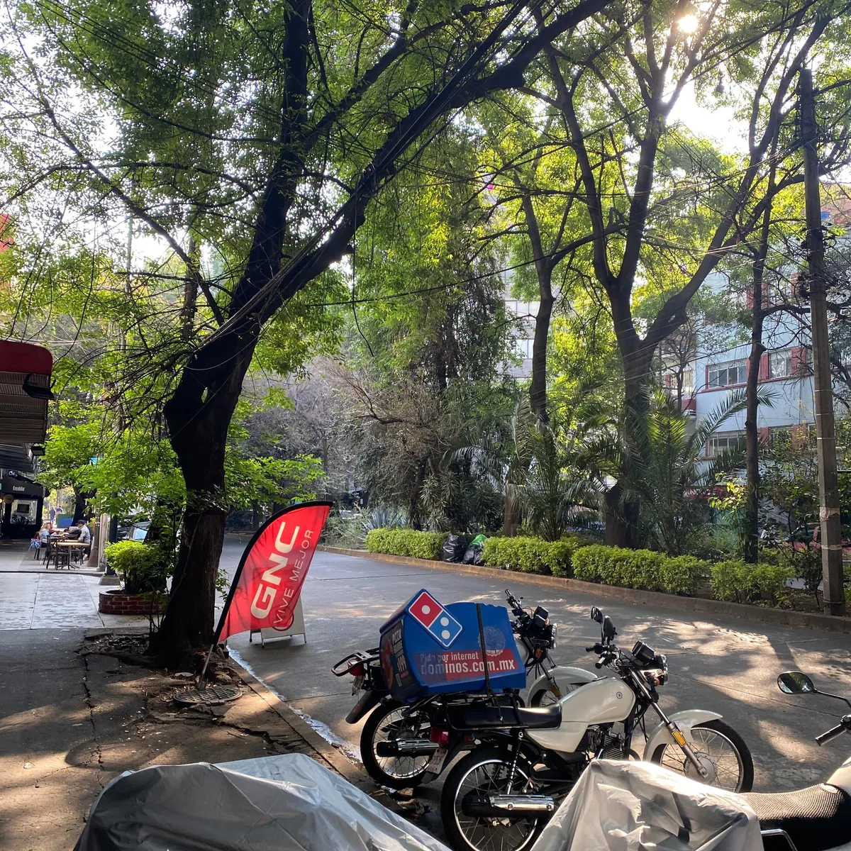 Mexico City had the Lushest, Greenest, Most Beautiful Neighborhoods I've Ever Seen