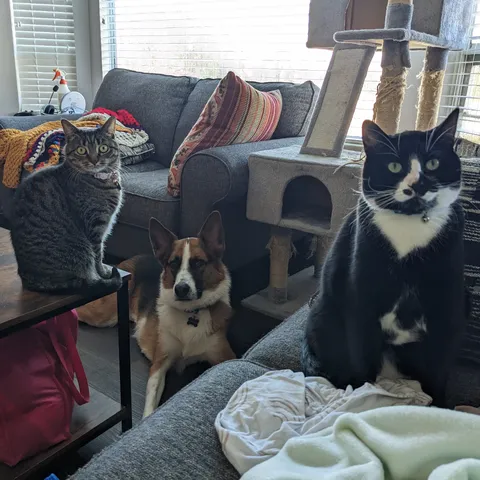 I'm currently in the early stages of labour and I think they all know it...