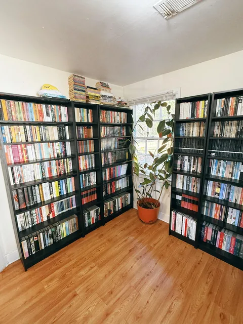 My cozy plant-filled apartment in Alabama (I’ve been told!)