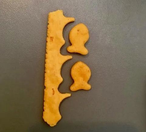 Someone found an edge piece in their bag of Cheddar Goldfish 
