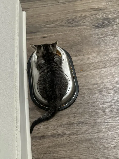 How do I tell him that’s not a seat?