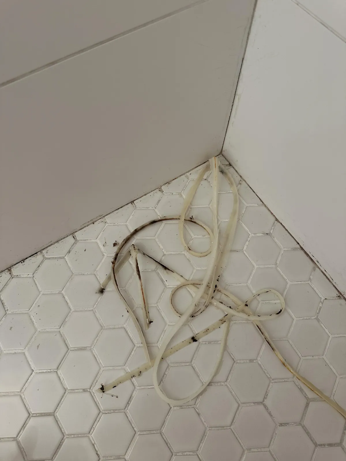 Is it normal to have this much mold behind shower caulk?