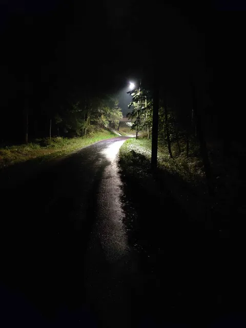 Captured this during my nightly walk 