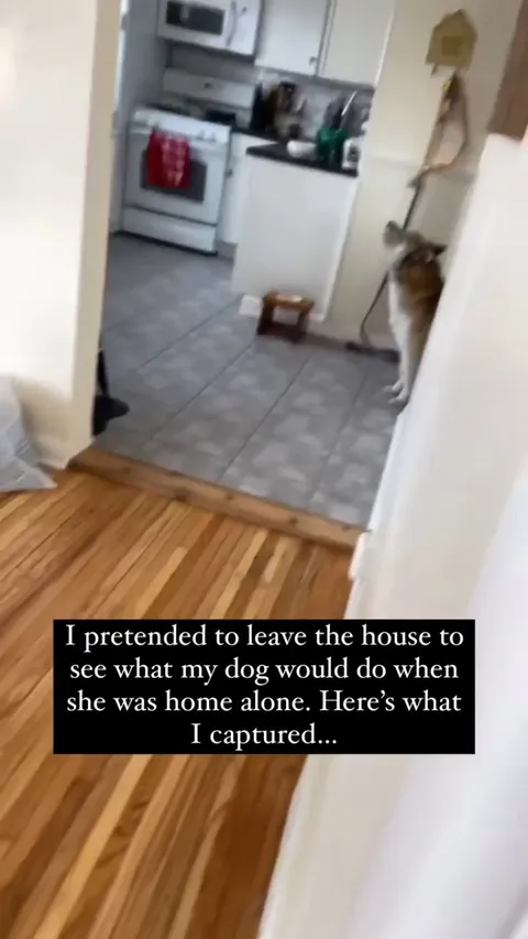 The moment she noticed she wasn’t alone 😭 --__Hrind