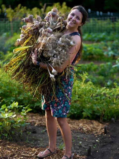 We don’t have to worry about vampires anytime soon 🧄