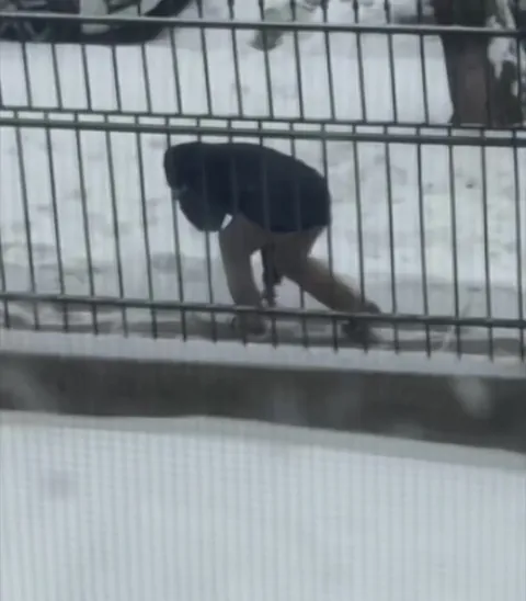 Caught my neighbor stopping to draw little hearts in the snow