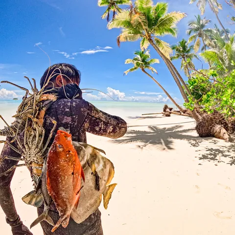 I returned to New Guinea, to a very remote atoll for a month long trip, living off the ocean.