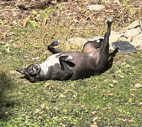 My older Derp getting re-stinkified