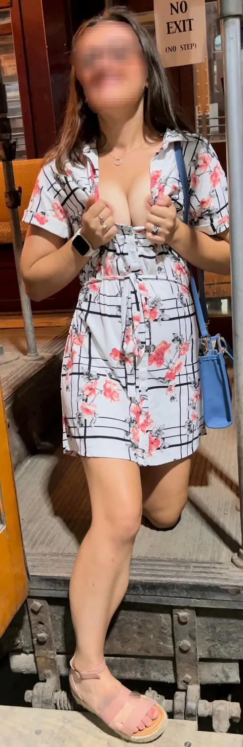 Risking Everything At Trolley Museum