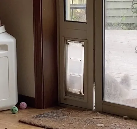 How do (cat) doors work again?