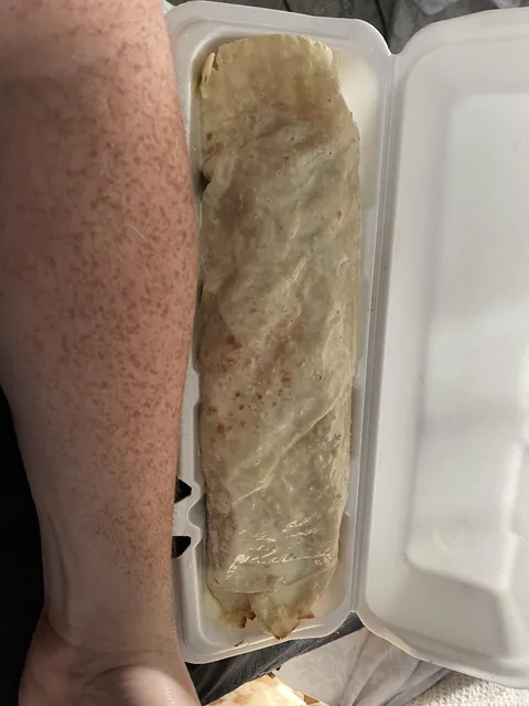 This burrito I ordered was almost exactly the same size as my forearm.