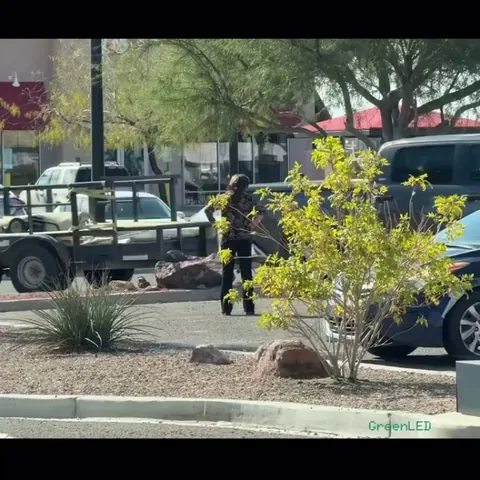 Hundreds of oil pans have died in our Wendy’s parking lot [oc]