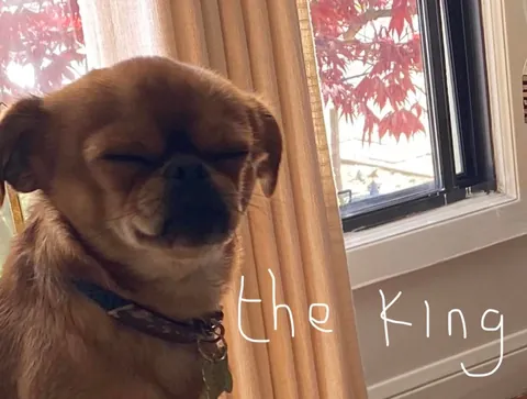 Folks call him DA BOY round these parts, his legal name is Mo