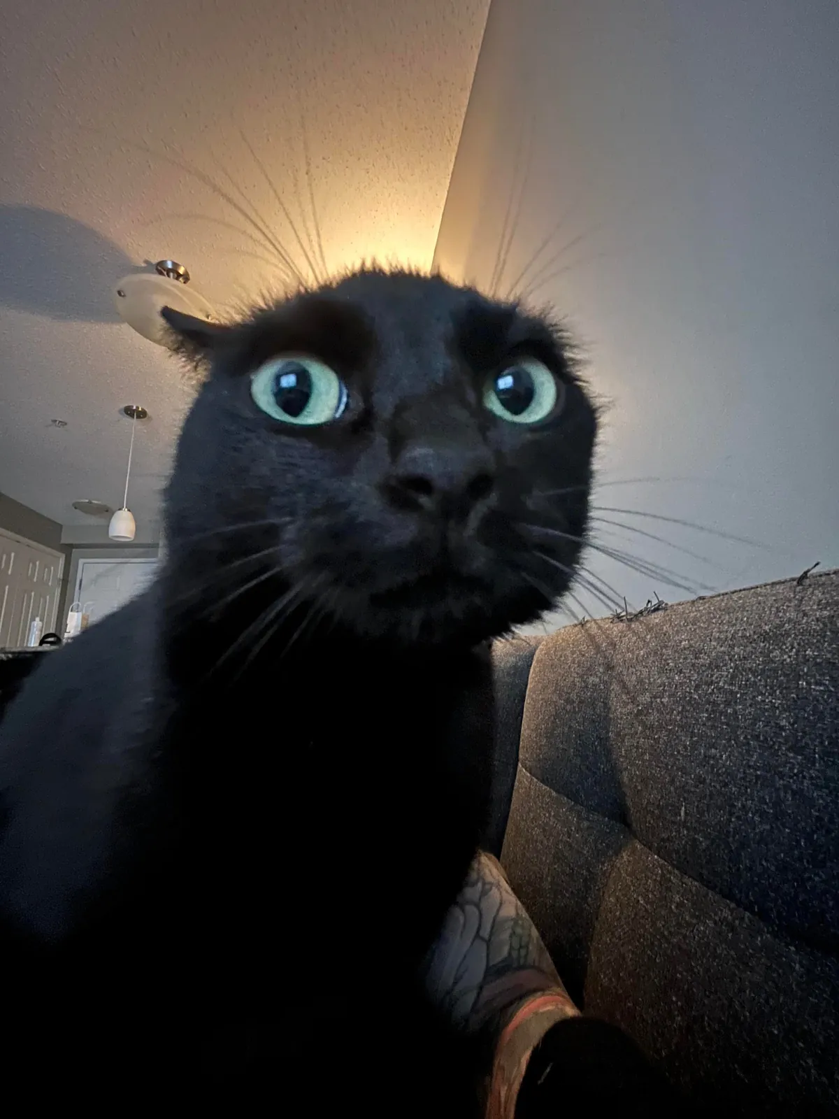 She's upset that dinner is at 7pm not 4pm