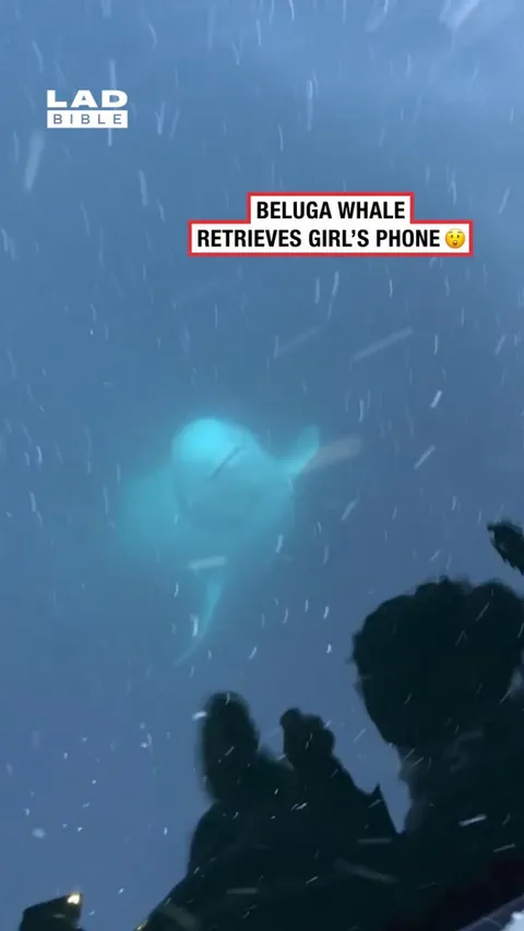 His number’s in there now 🤣