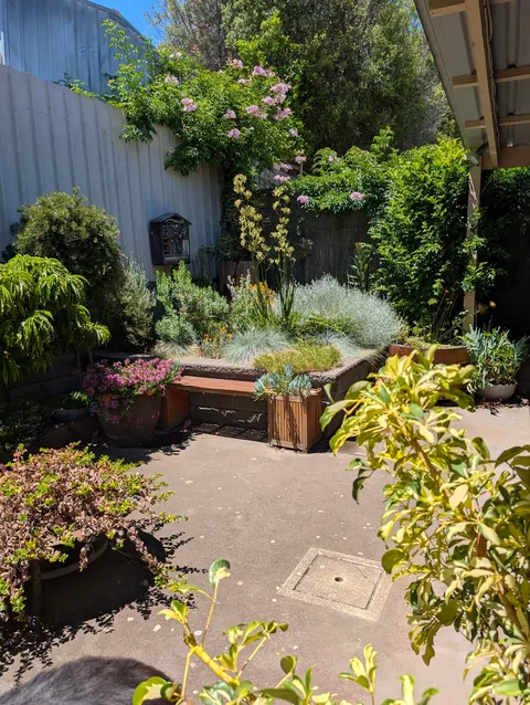 Happy New Year to all! A sunny morning spent in the garden, what a perfect start to the year.