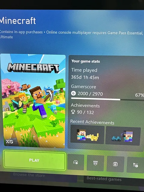 A year of my life dedicated to Minecraft