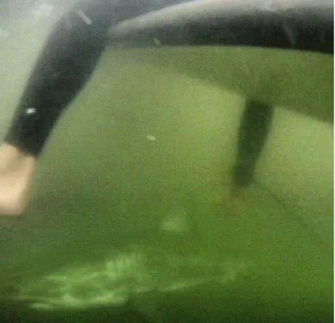 Person found this photo when checking their GoPro after surfing.