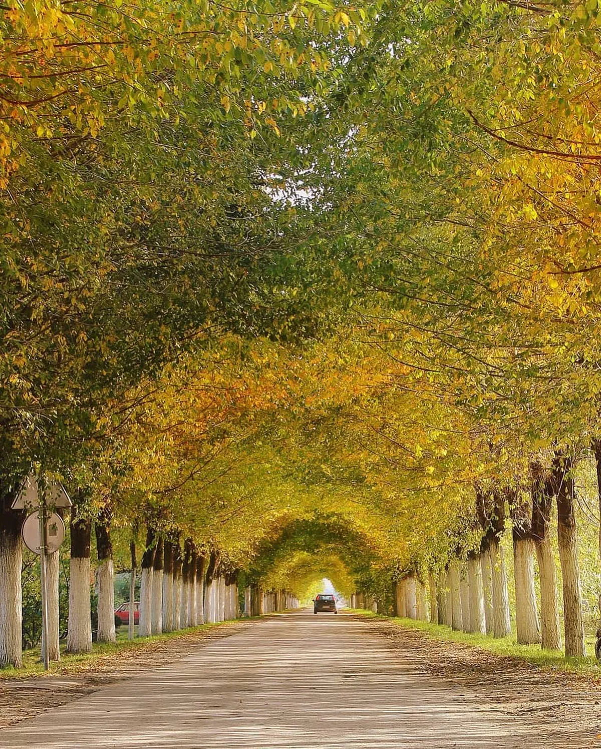 The streets of Belo Blato village, Serbia