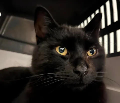 What’s on your mind?