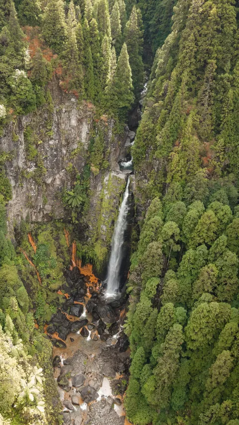 Cascata das Lombadas, Sao Miguel (OC) 3375 x 5999