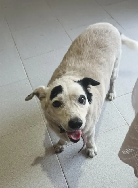 The nicest thing about visiting Mom: this little face waiting for me at the door