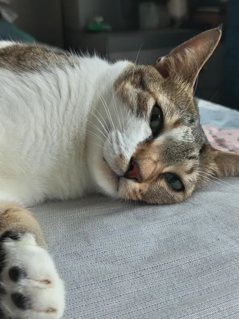 I've never posted anything on here but it's my little girl's fifth birthday and I'd like to share it with all of you :)