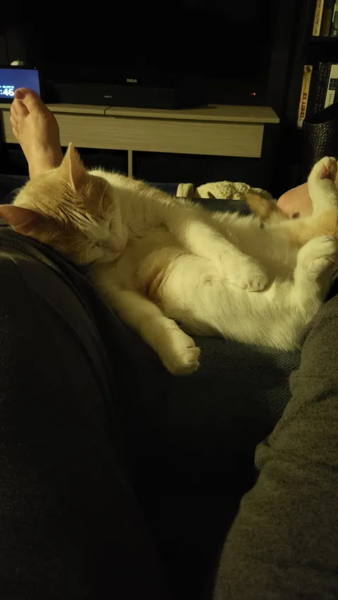 How is that comfortable?