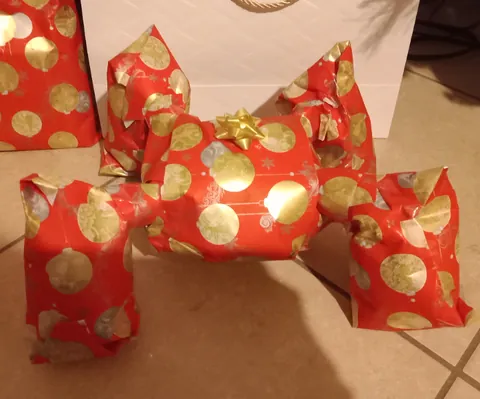 My boyfriend will never figure out what i got him for Christmas