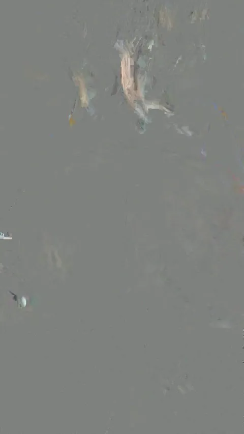 Best Latin buns on Reddit are here