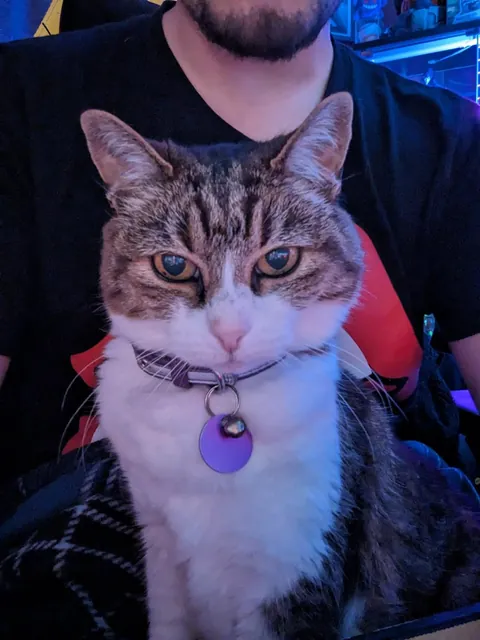 My Best Friend Sarah