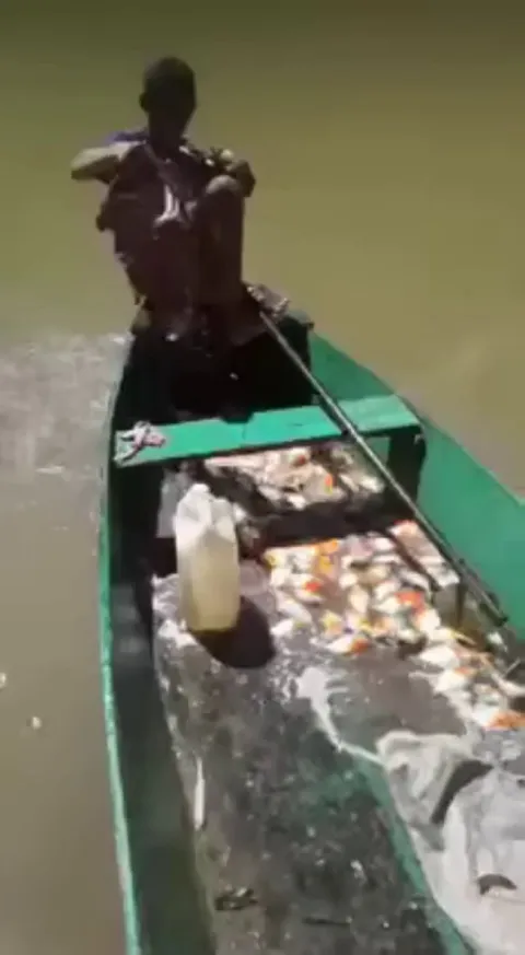 Fishing for piranhas