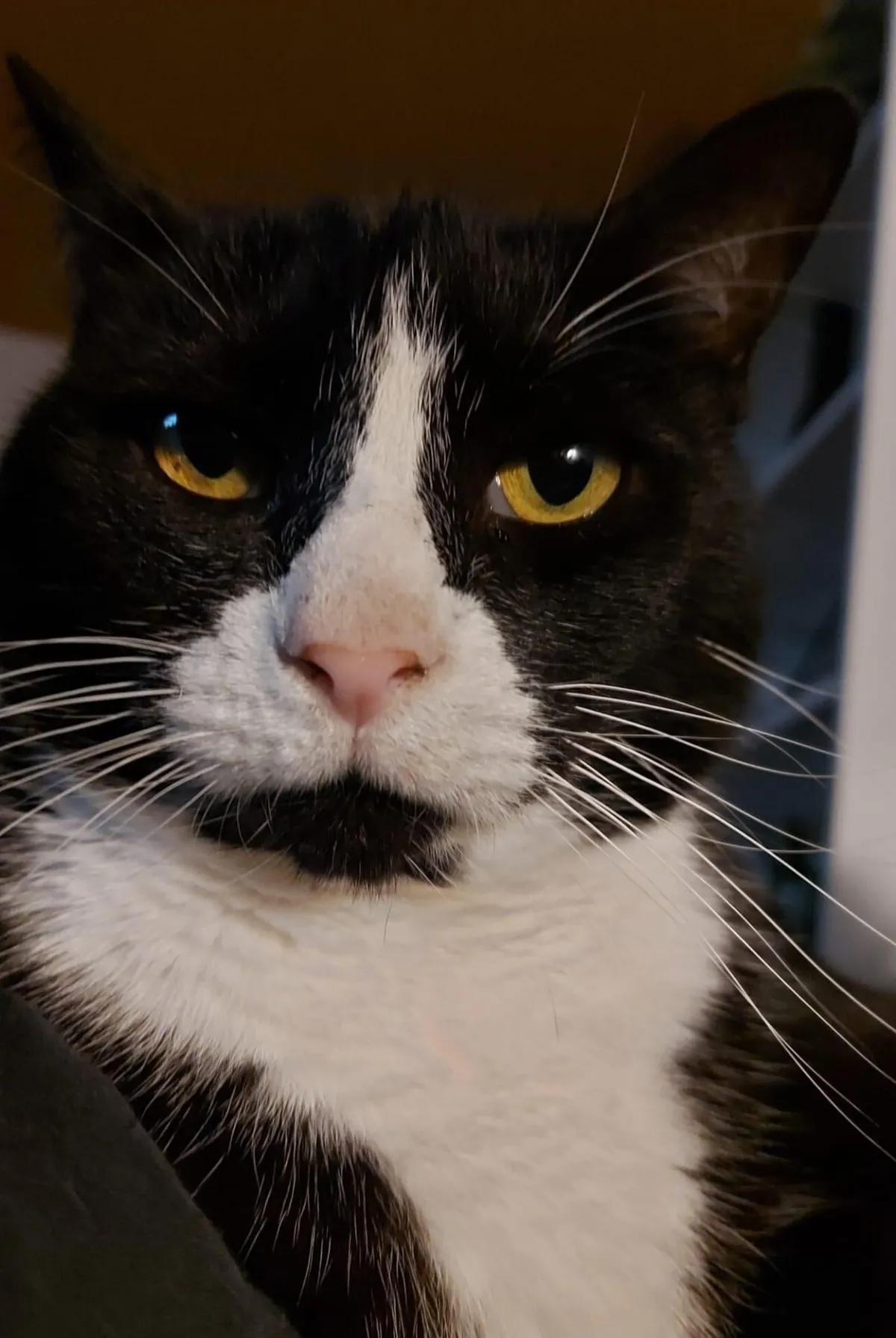 Rest in peace big boy