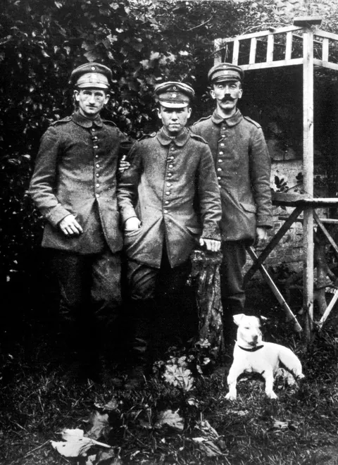 Adolf Hitler, 2 fellow comrades and his beloved stray dog, Fuchsl (Little Fox), that he had rescued after Fuchsl chased a rat across No Man's Land and ended up in the German trenches where he was stationed, near the Village of Fromelles - WW1 [1915]