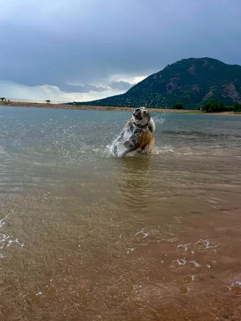 One of my favorite pictures I’ve ever taken - and the goofiness leading up to it!